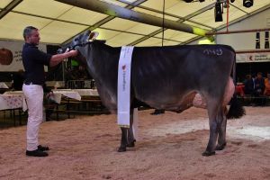 5DSC_8258 klein